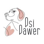 logo psipawer